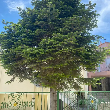 Small Garden Apartmán *