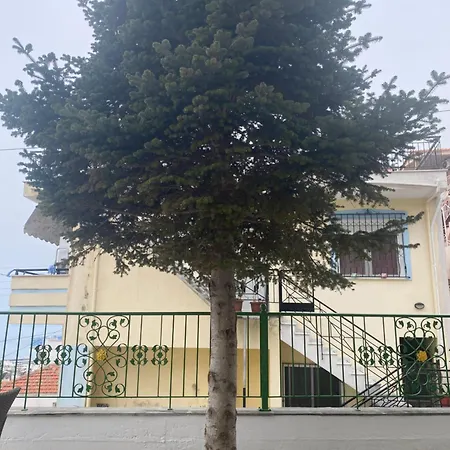 Small Garden Apartament