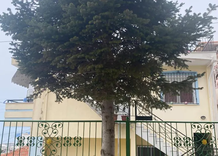 Small Garden Apartament